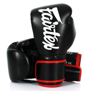 Fairtex Boxing Gloves